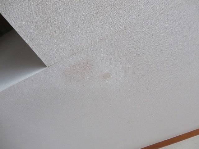 天井の天窓付近に茶色いシミ 結露が原因ではなく天窓の木材が腐食していた 汲めども尽きない失敗談と少しはあった成功談